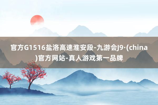 官方G1516盐洛高速淮安段-九游会J9·(china)官方网站-真人游戏第一品牌