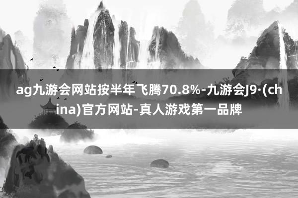 ag九游会网站按半年飞腾70.8%-九游会J9·(china)官方网站-真人游戏第一品牌