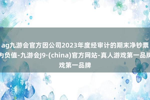 ag九游会官方因公司2023年度经审计的期末净钞票为负值-九游会J9·(china)官方网站-真人游戏第一品牌