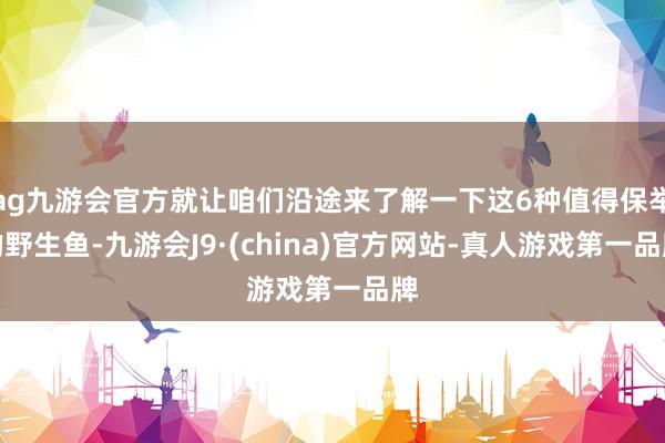 ag九游会官方就让咱们沿途来了解一下这6种值得保举的野生鱼-九游会J9·(china)官方网站-真人游戏第一品牌